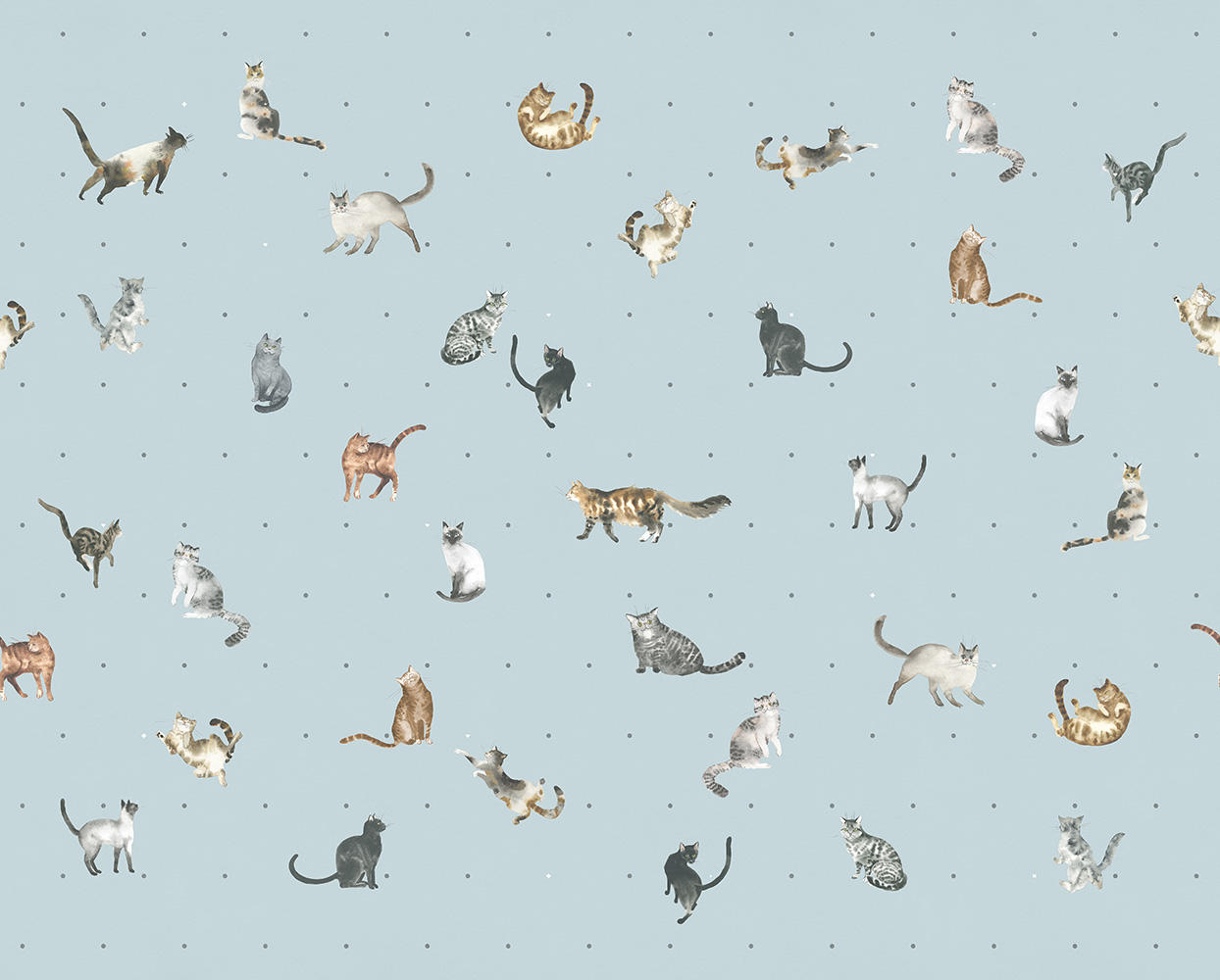 Фотообои Factura арт Kitty-7 фото 1