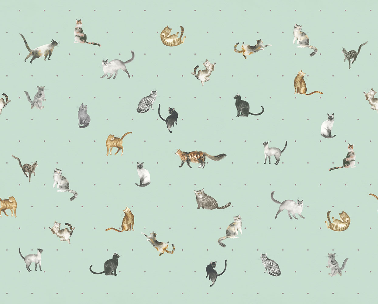 Фотообои Factura арт Kitty-8 фото 1