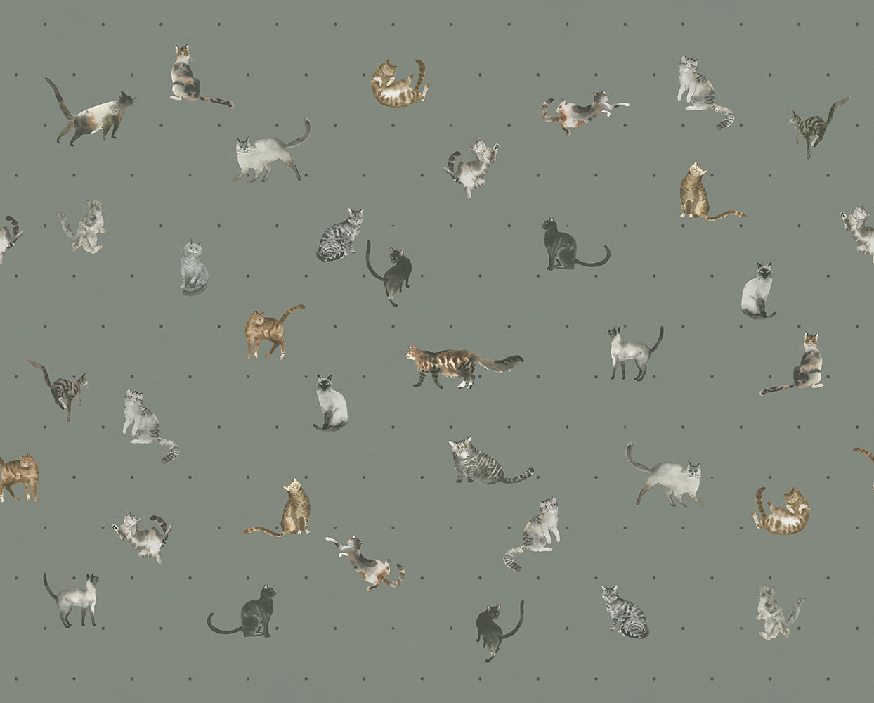 Фотообои Factura арт Kitty-9 фото 1