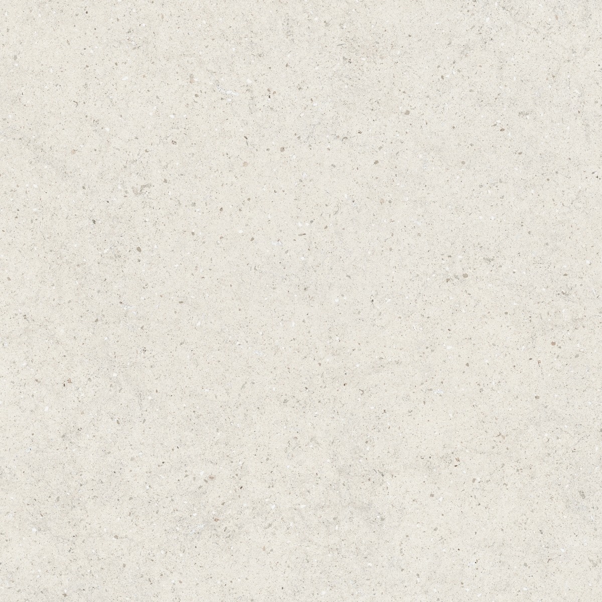 Керамогранит Italon арт Forum, stone polar, 800x800 фото 1