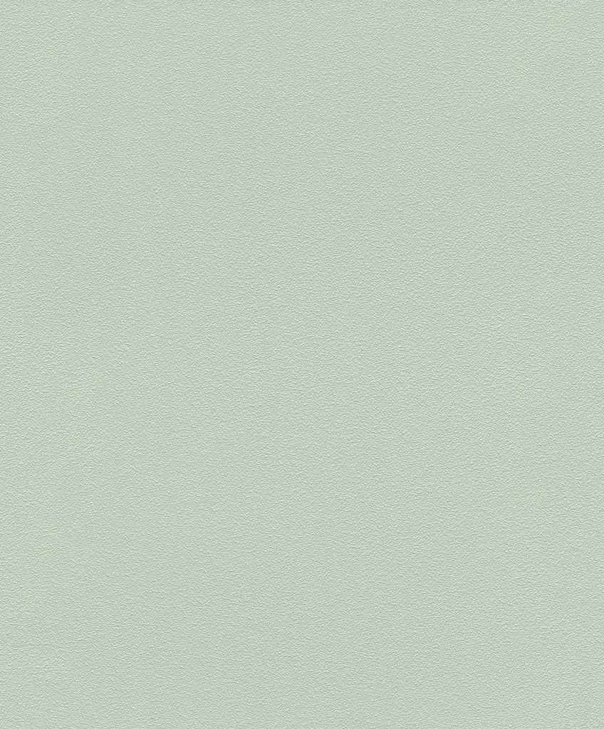 Обои Rasch арт 700688 фото 1