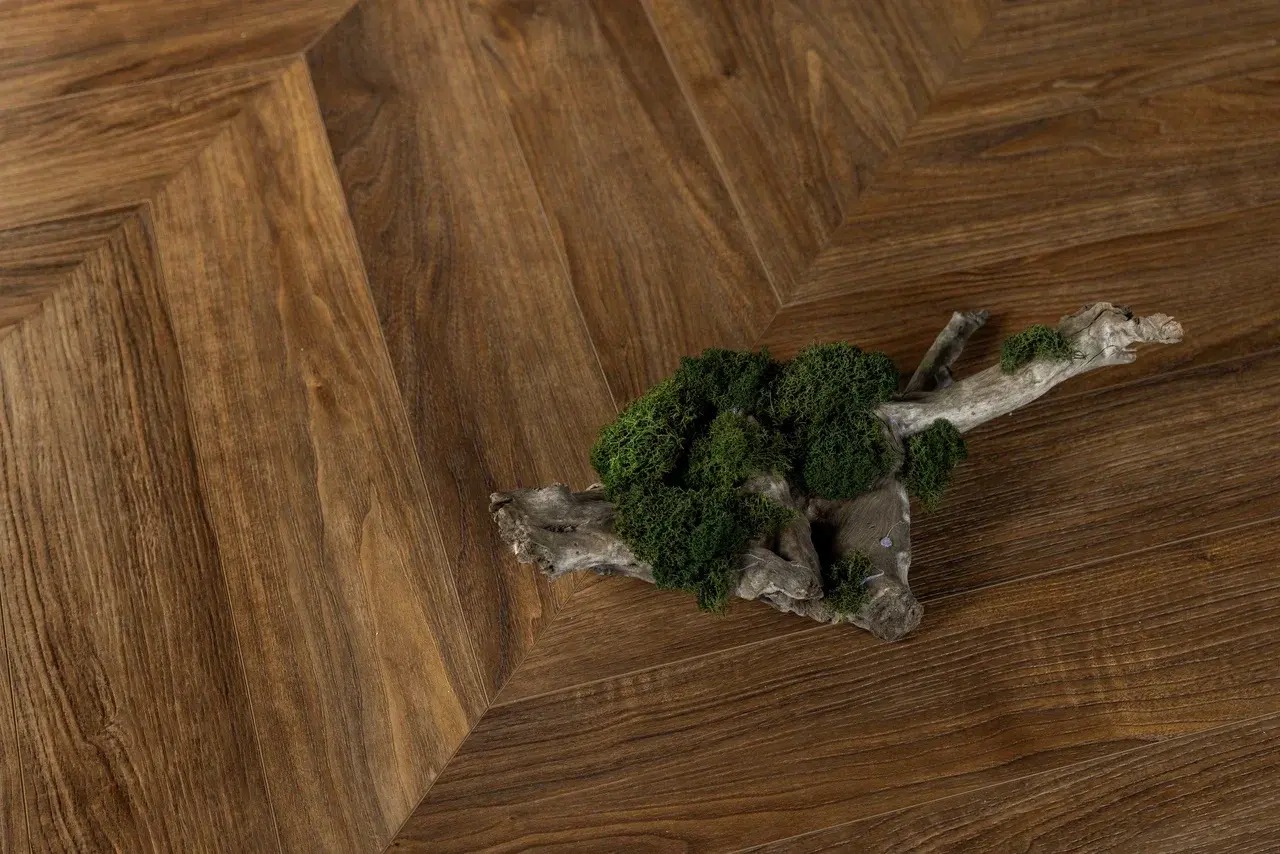 SPC Steinholz арт STH099EC фото 4