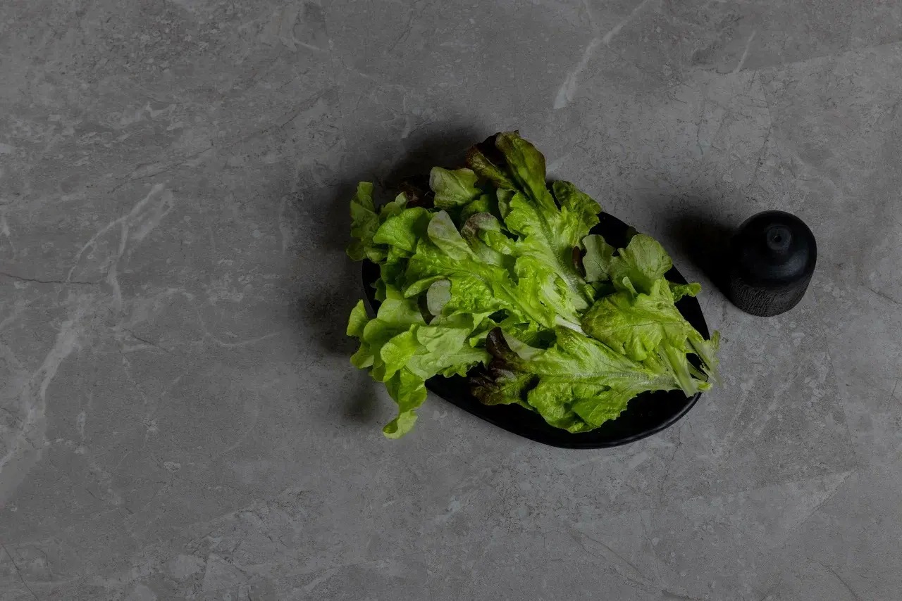 SPC Steinholz арт STH086M фото 2