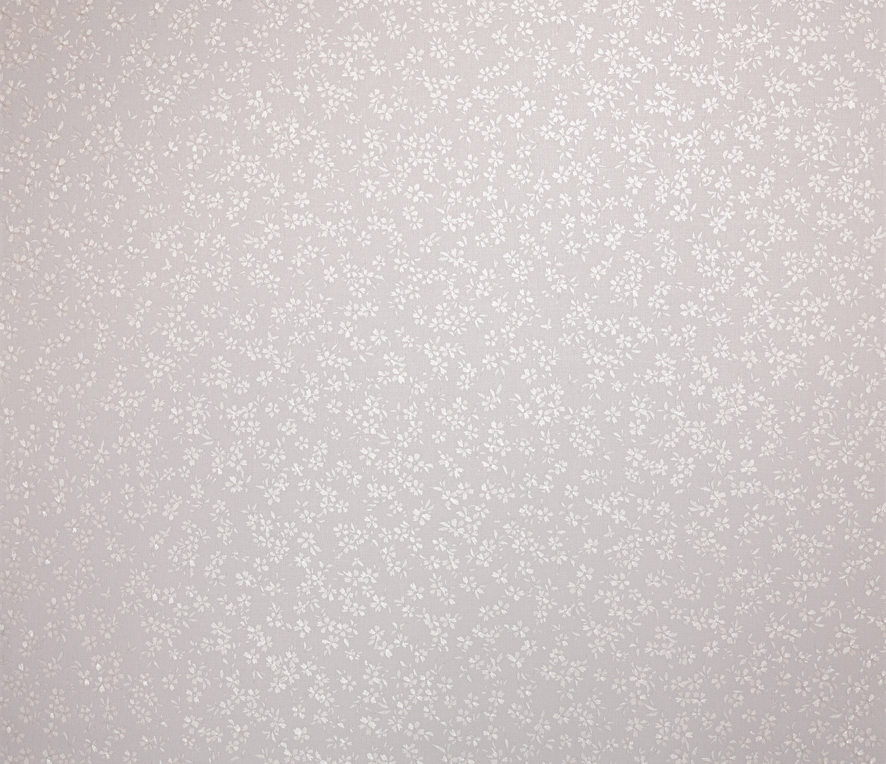 Обои Ateliero арт 587261 фото 5