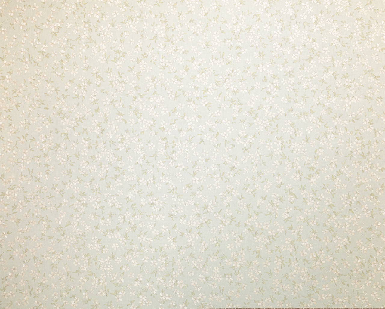 Обои Ateliero арт 587265 фото 5