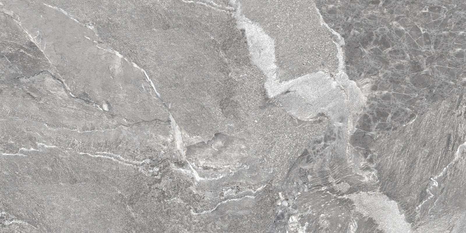 Керамогранит Delacora арт Вайлд, темно-серый, 1200x600 фото 4