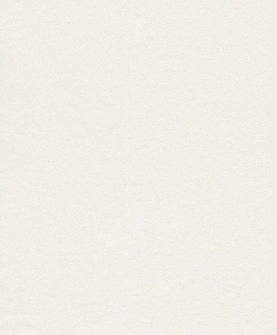 Обои под покраску Rasch арт 342307 фото 1