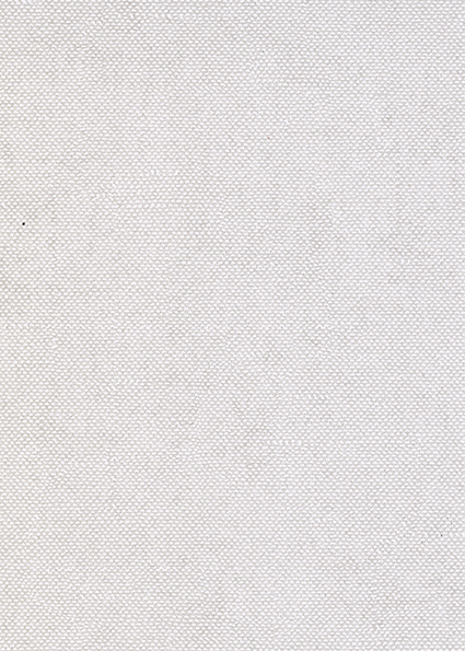 Обои Khroma арт CLR006 фото 1