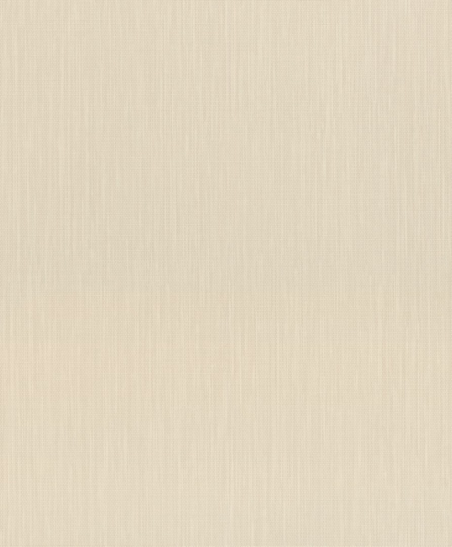 Обои Rasch арт 527254 фото 1