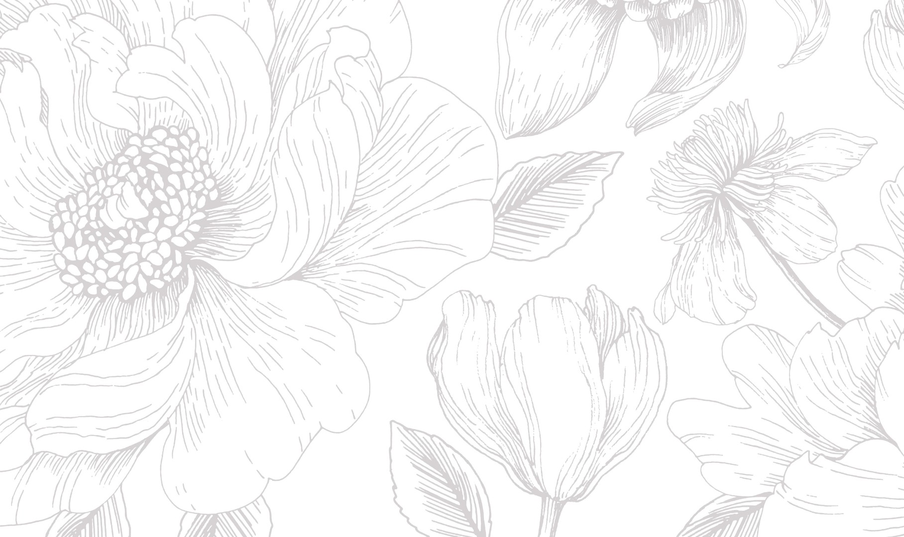 Обои Vallila арт 5242-2 фото 1