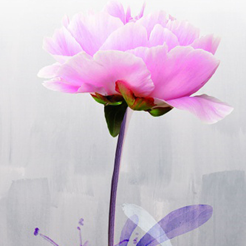 Панно Blumarine арт 24121 фото 2