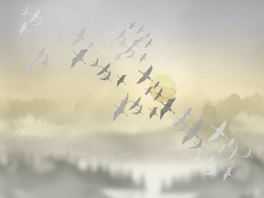 Фрески Affresco арт ZK444-COL4 фото 1