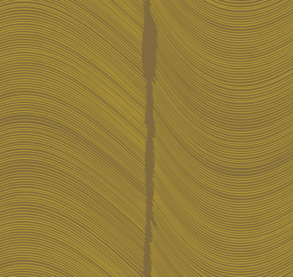 Обои Loymina арт BR4 005/1 фото 1