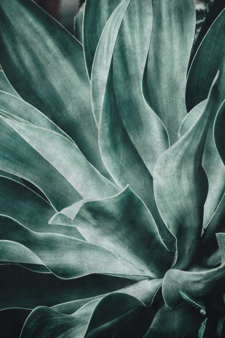 Фотообои Rasch арт 425796 фото 1