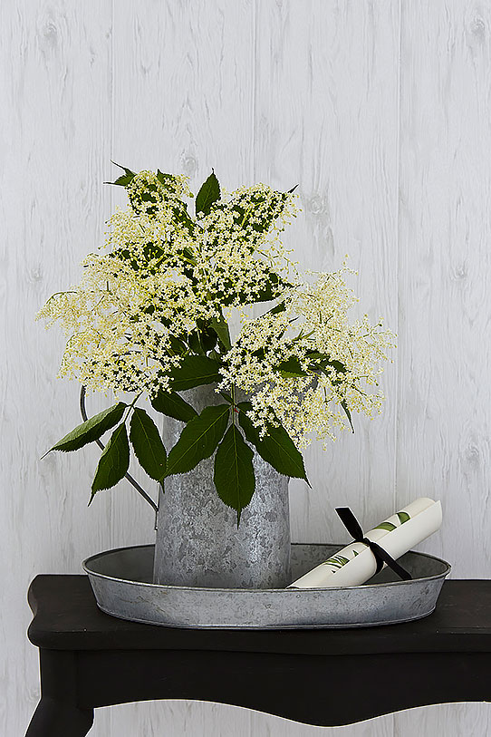 Обои Borastapeter арт 4027 фото 3